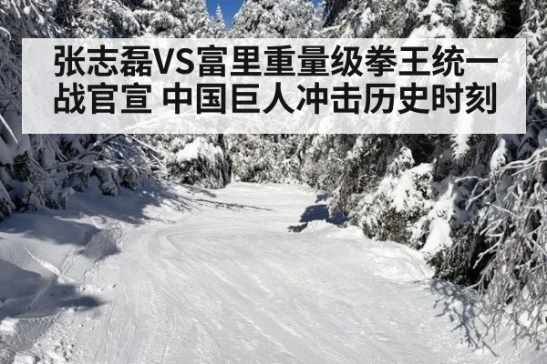 张志磊VS富里重量级拳王统一战官宣 中国巨人冲击历史时刻